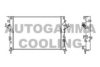 AUTOGAMMA 103031 Radiator, engine cooling